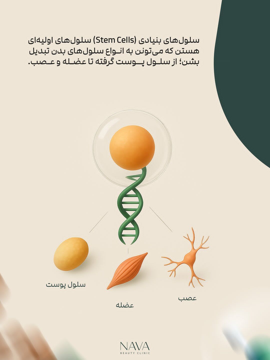 نمونه پست کاروسل اینستاگرام 4، اسلاید 2