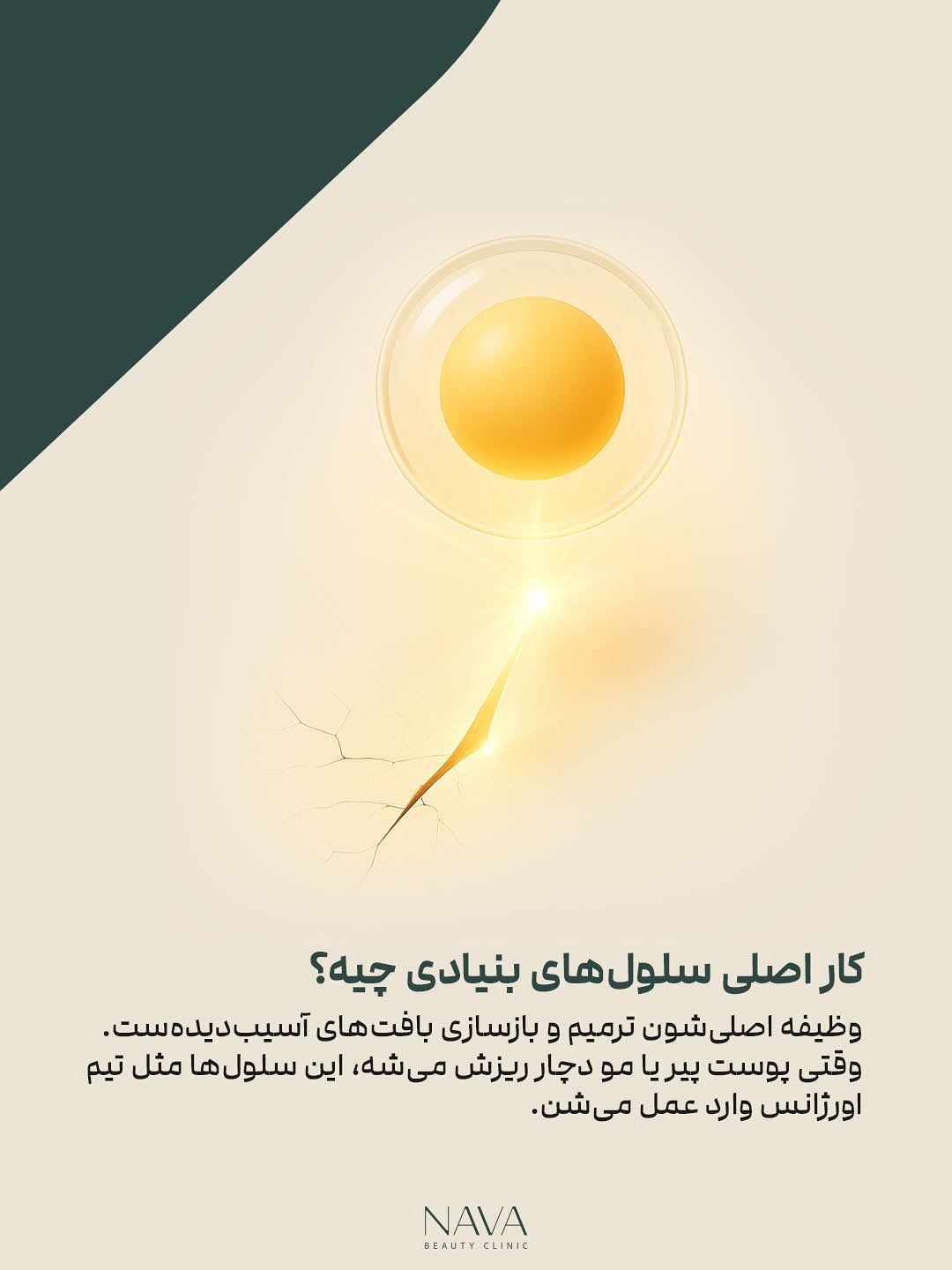 نمونه پست کاروسل اینستاگرام 4، اسلاید 4